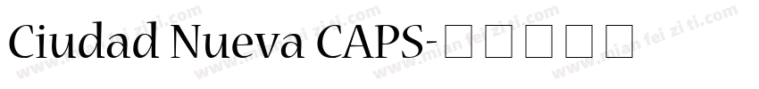 Ciudad Nueva CAPS字体转换